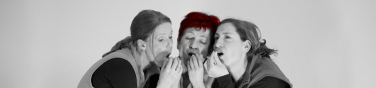 Playback Theater - Kunden Institutionen